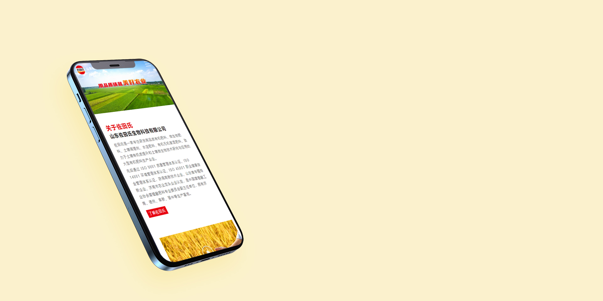 手机网站 & 微信网站建设